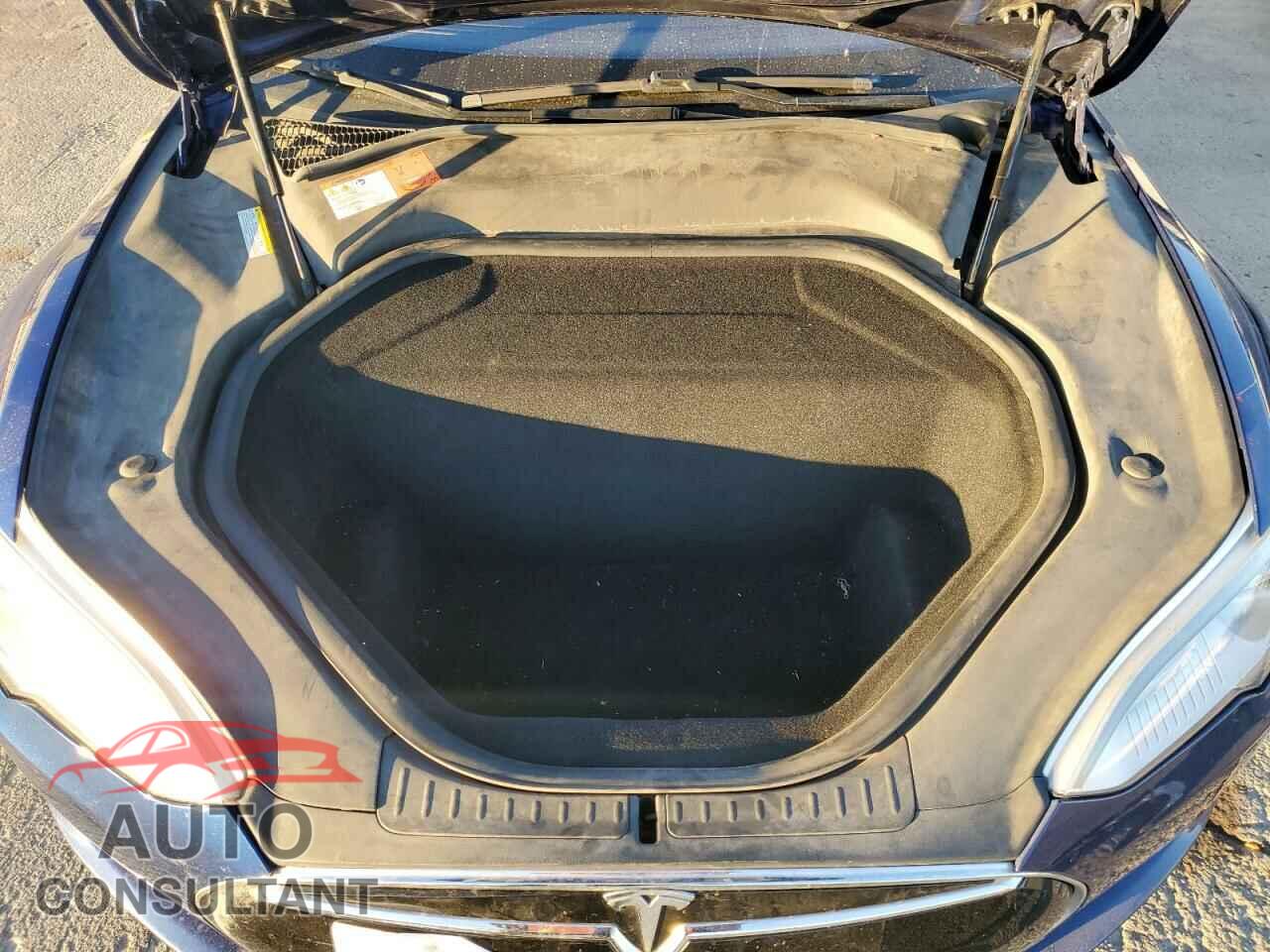 TESLA MODEL S 2015 - 5YJSA1E2XFF116449
