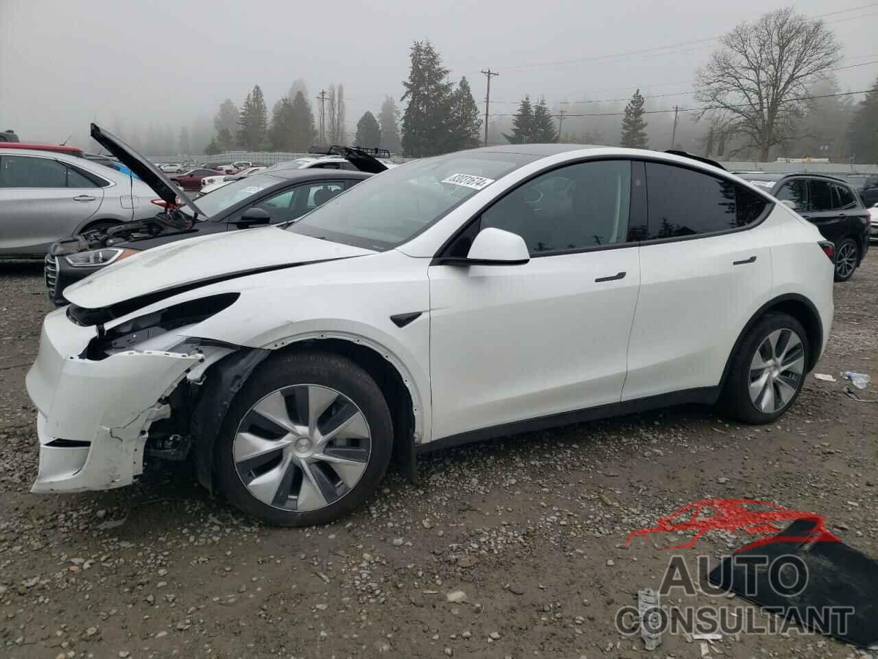 TESLA MODEL Y 2024 - 7SAYGDEE3RF014812