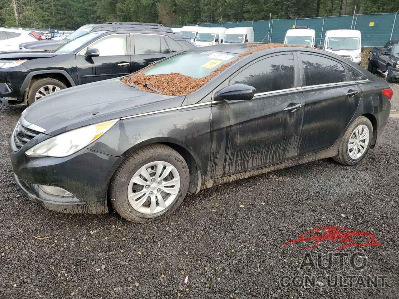 HYUNDAI SONATA 2011 - 5NPEB4AC1BH106379