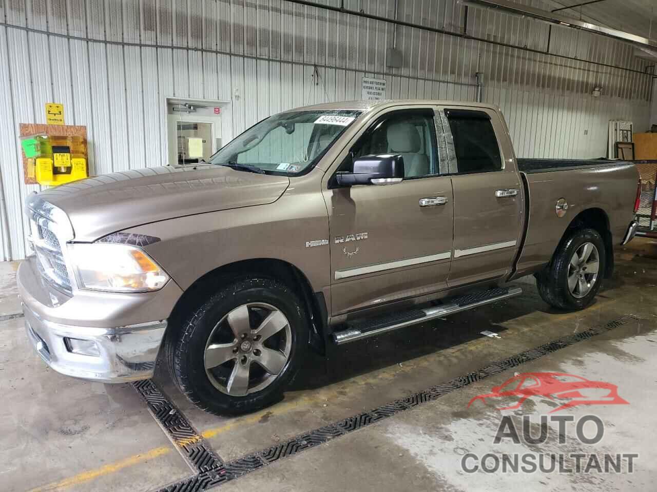 DODGE All Models 2010 - 1D7RV1GT7AS143845
