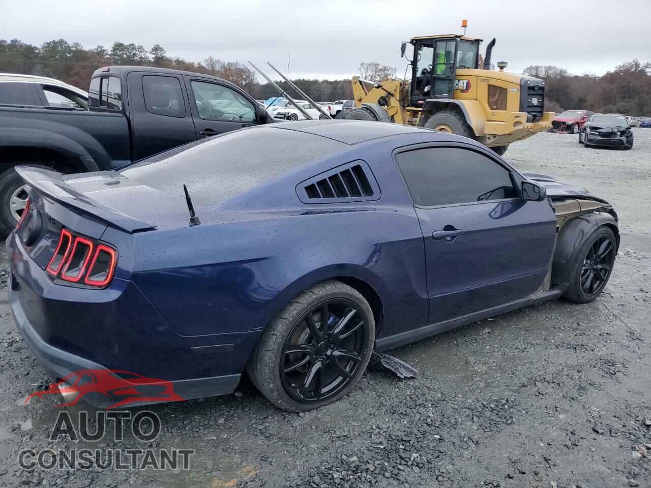 FORD MUSTANG 2011 - 1ZVBP8CF3B5157091