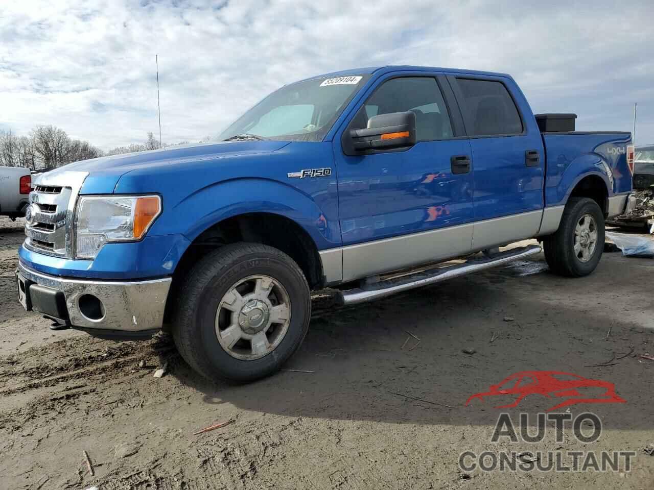 FORD F-150 2010 - 1FTFW1EV4AFD60051