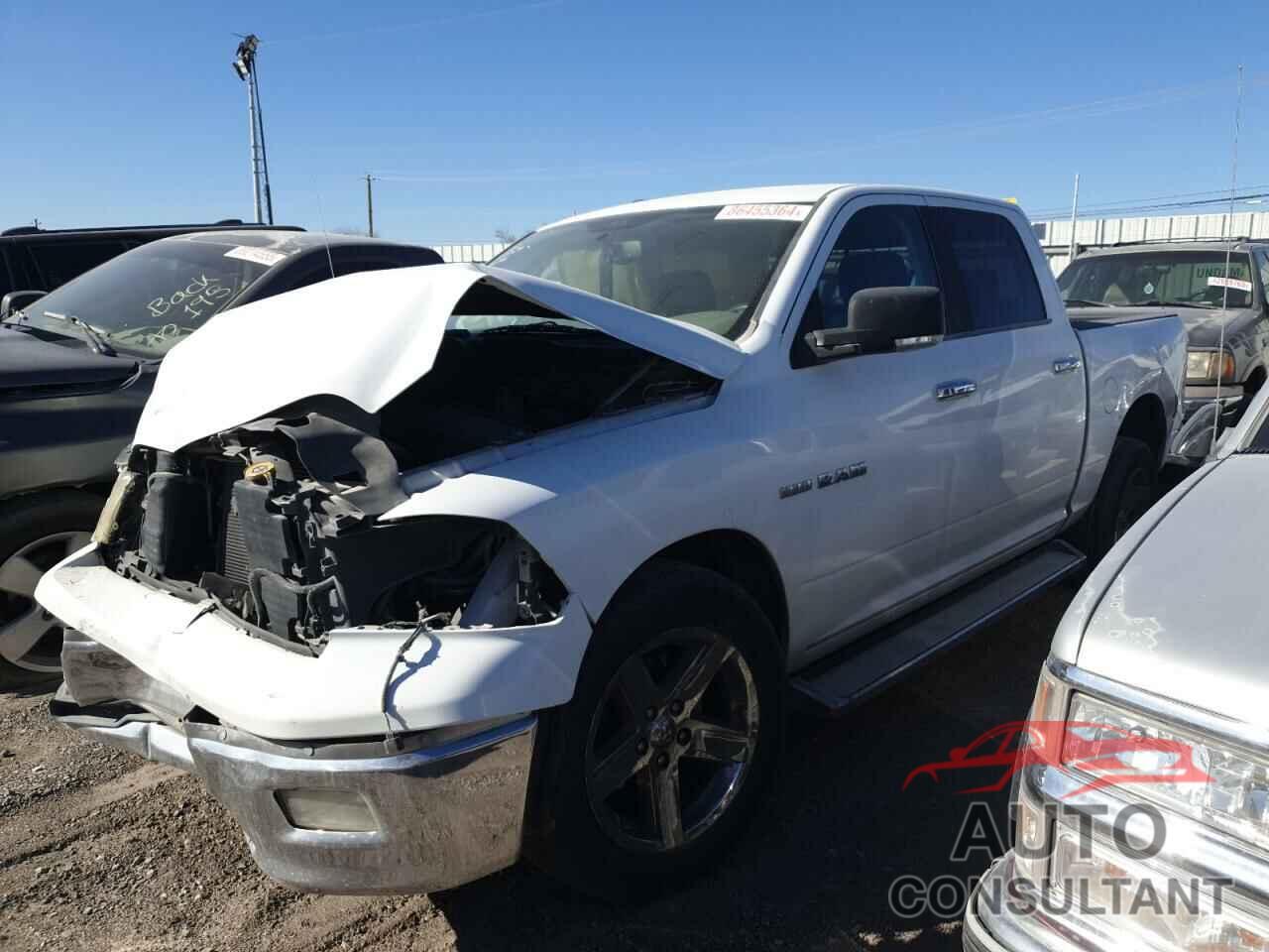 DODGE All Models 2010 - 1D7RB1CT6AS126601