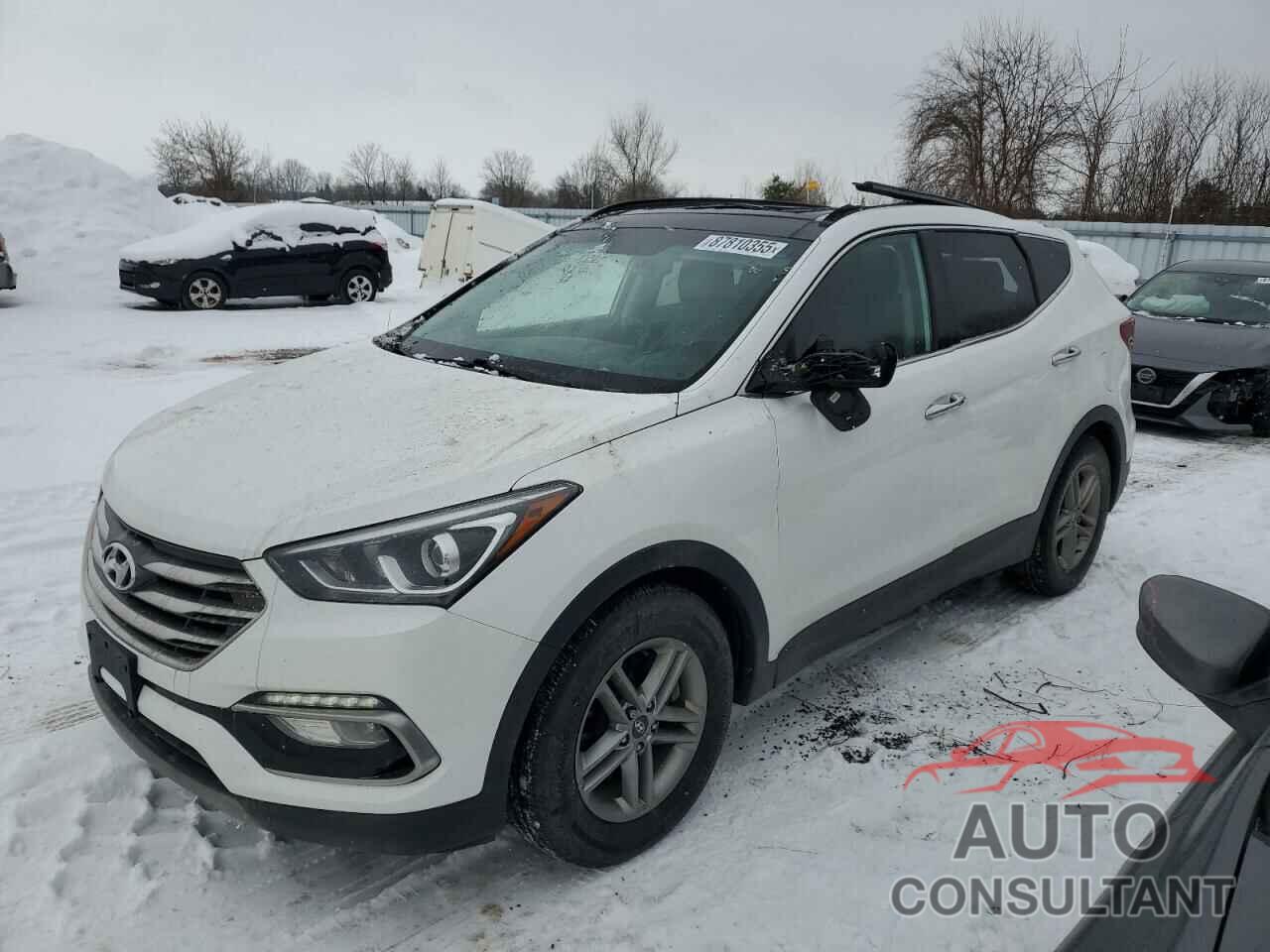 HYUNDAI SANTA FE 2017 - 5XYZUDLB9HG478469