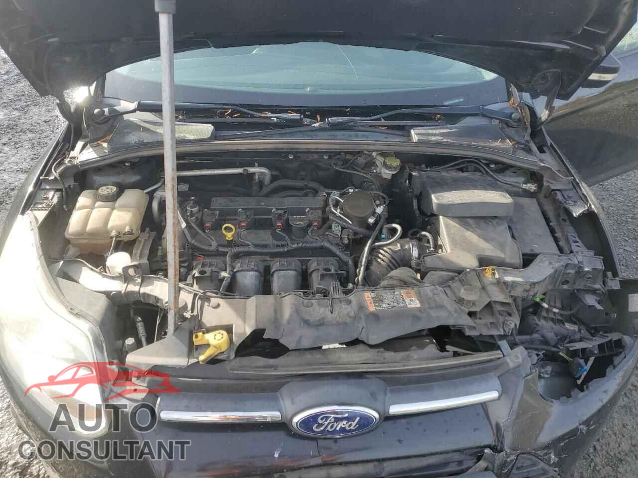 FORD FOCUS 2014 - 1FADP3F22EL363659