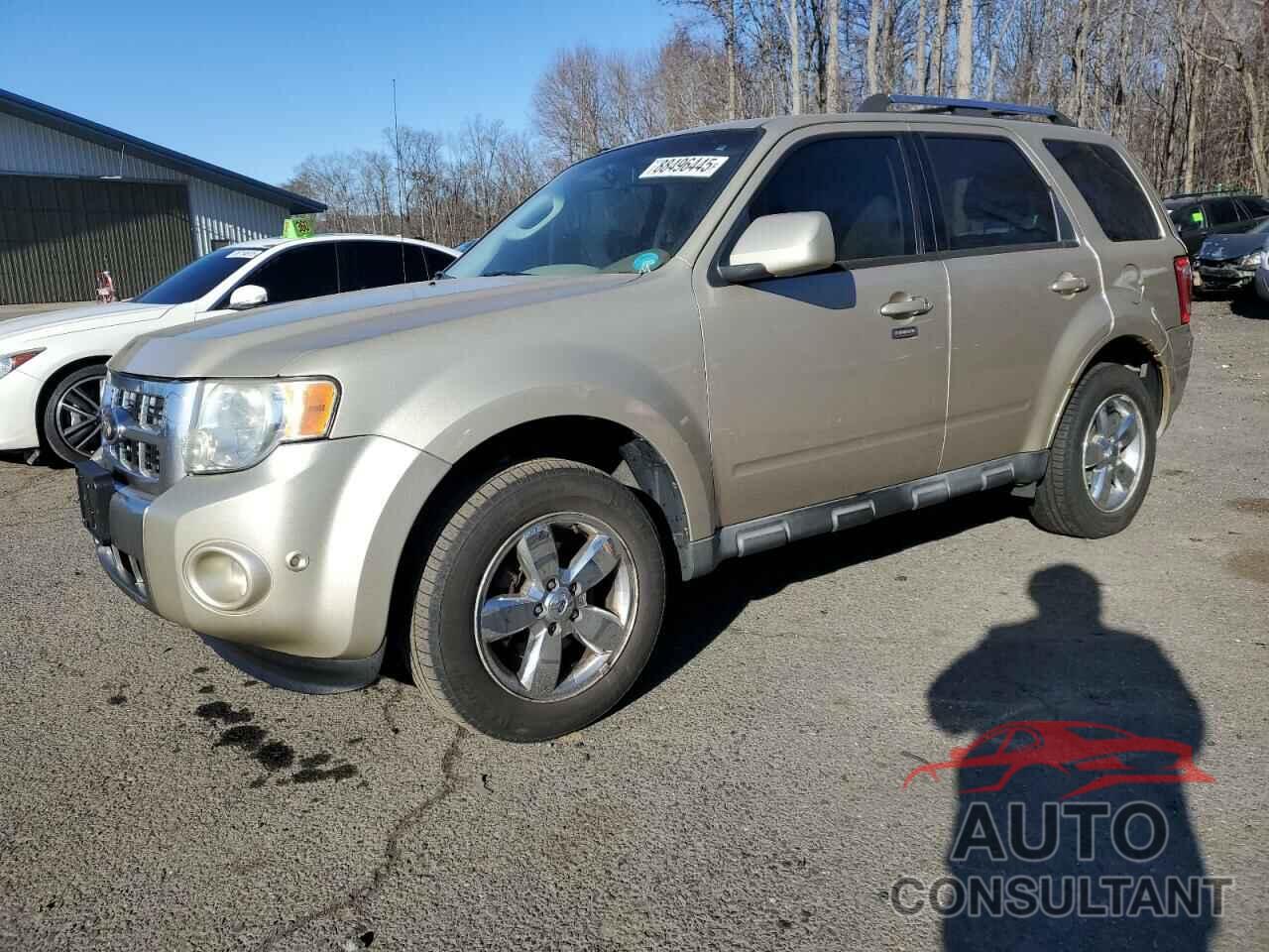 FORD ESCAPE 2010 - 1FMCU9EG4AKC61211