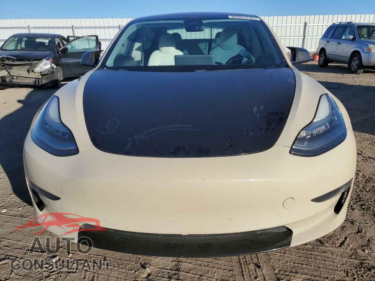 TESLA MODEL 3 2019 - 5YJ3E1EB5KF194785