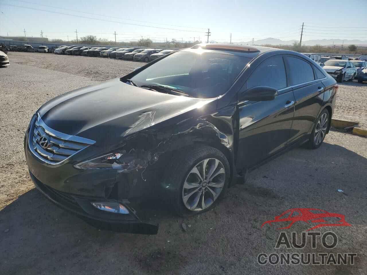 HYUNDAI SONATA 2013 - 5NPEC4AB1DH613516