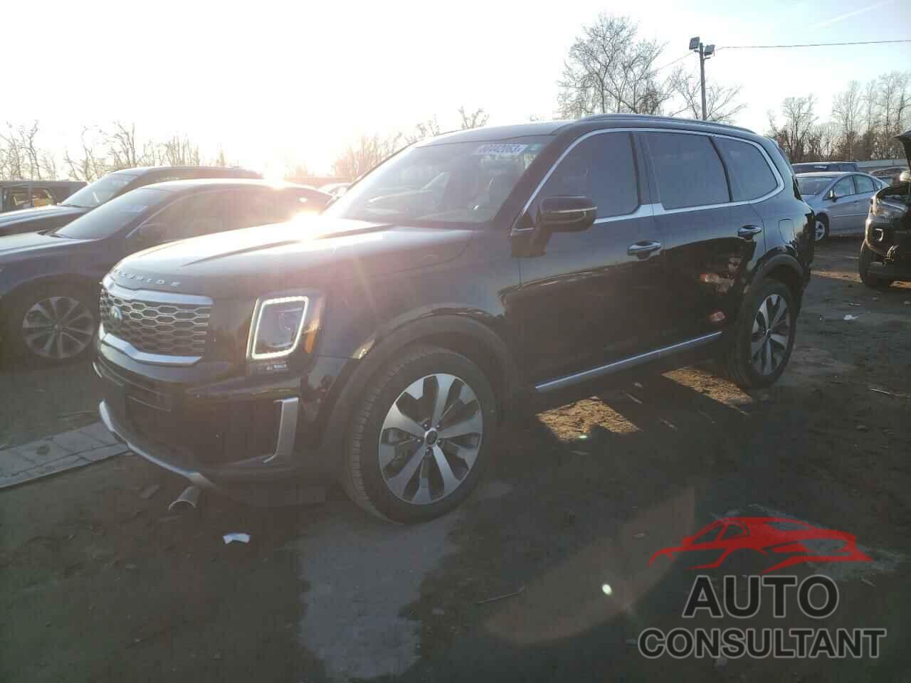 KIA TELLURIDE 2021 - 5XYP6DHCXMG148000