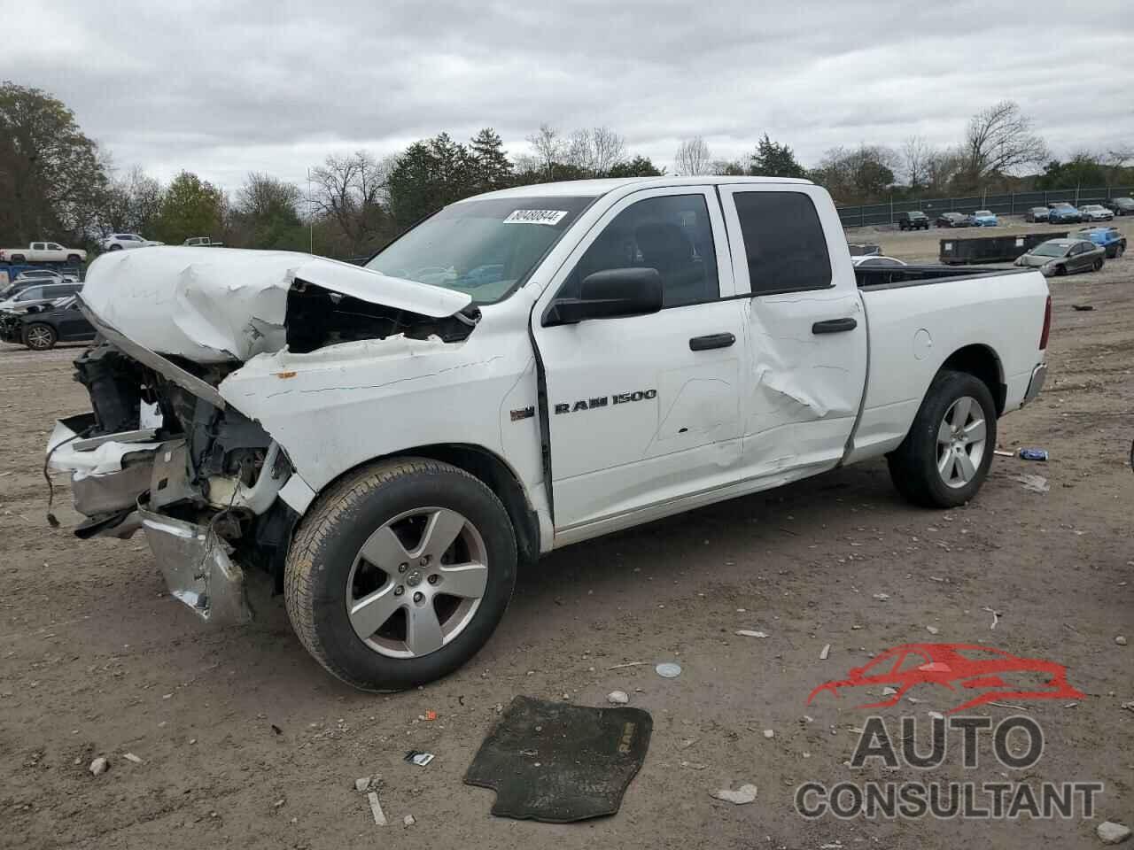 DODGE All Models 2011 - 1D7RB1GT9BS689153