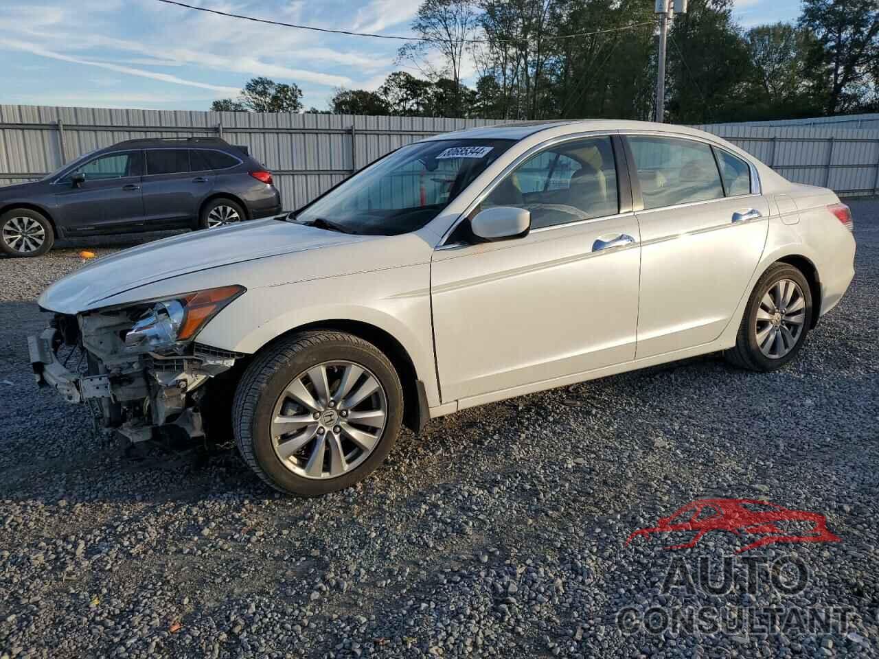 HONDA ACCORD 2011 - 5KBCP3F81BB004135