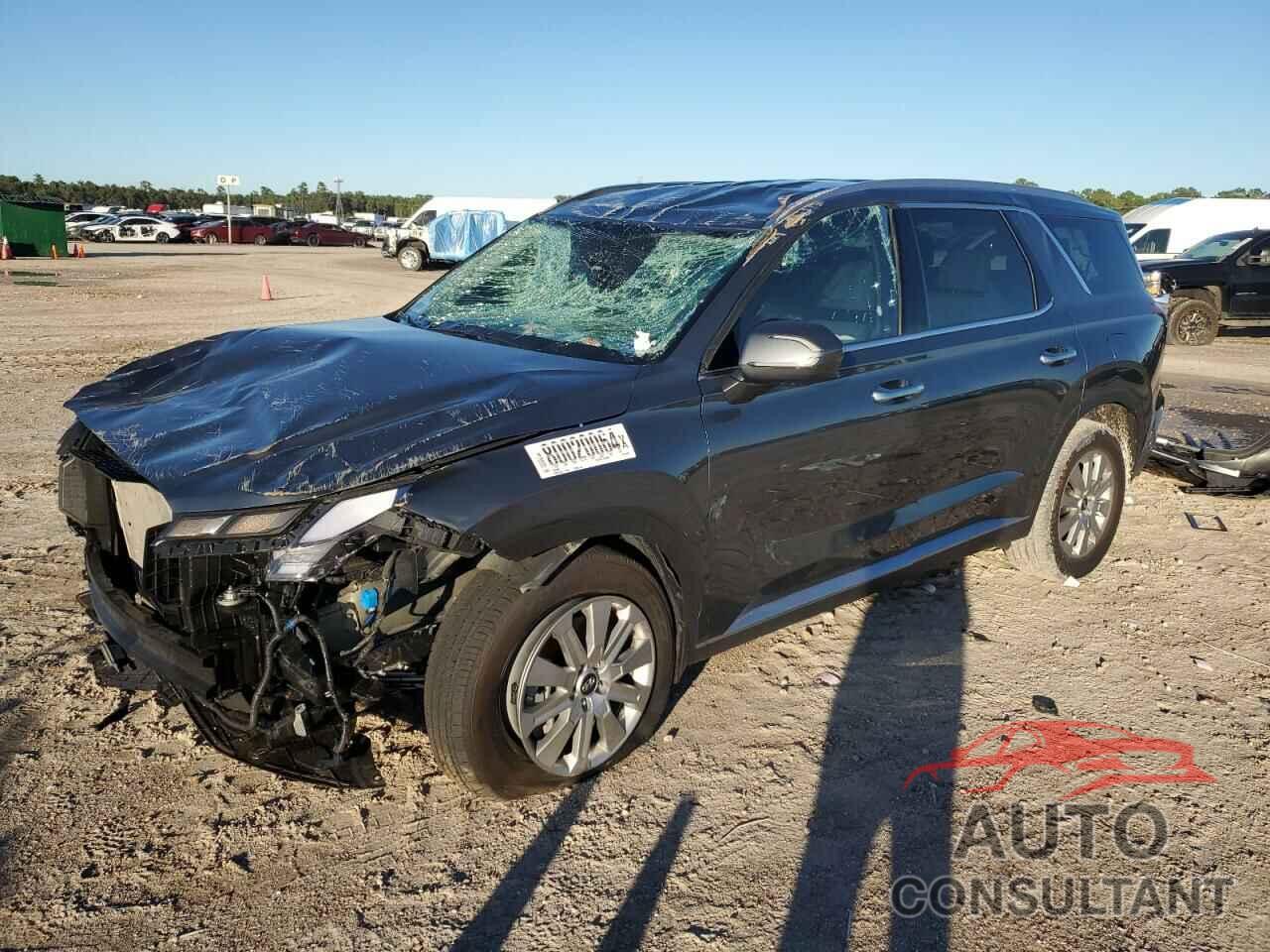 HYUNDAI PALISADE 2024 - KM8R24GE9RU683456
