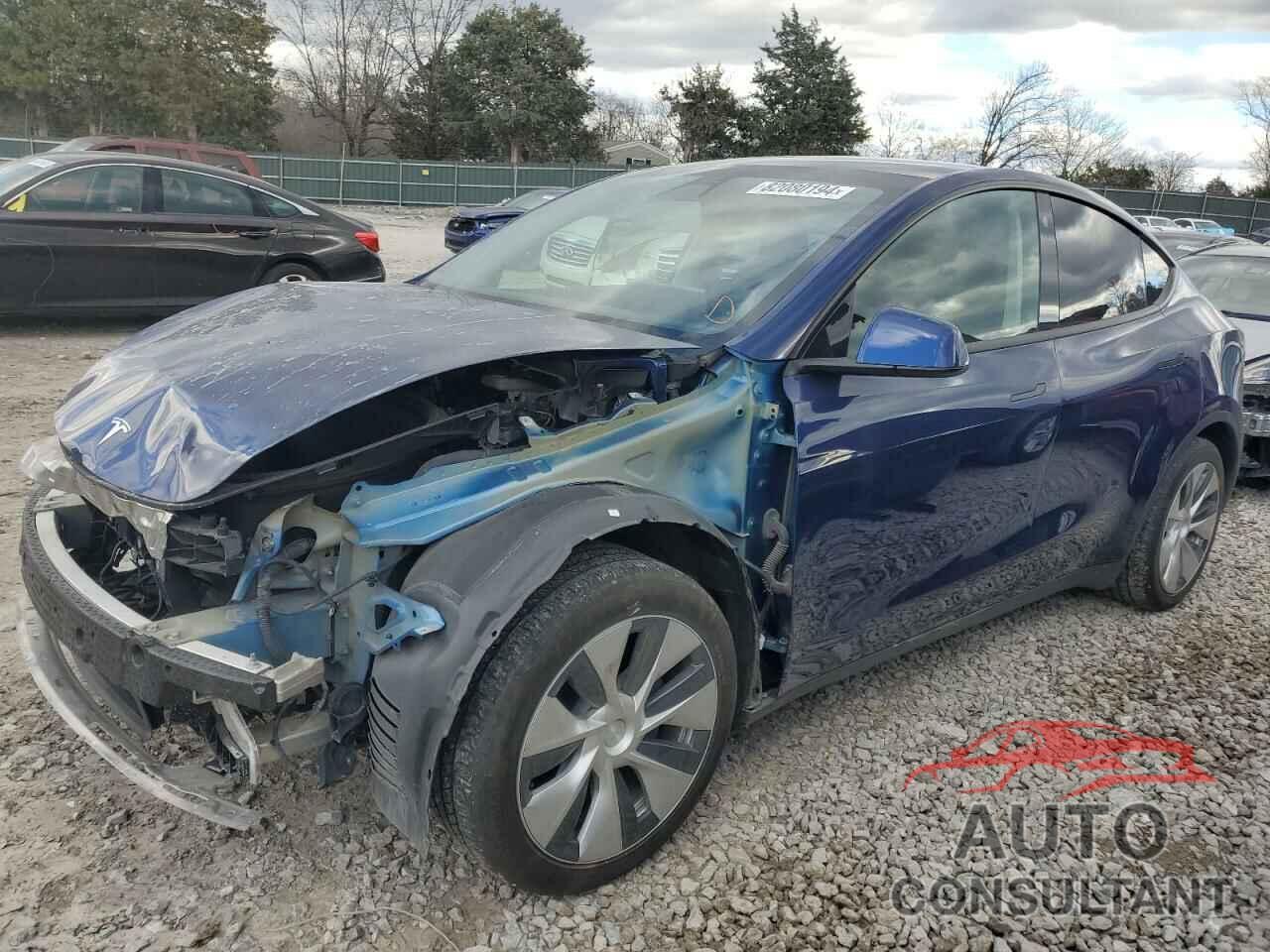 TESLA MODEL Y 2021 - 5YJYGDEE0MF116364