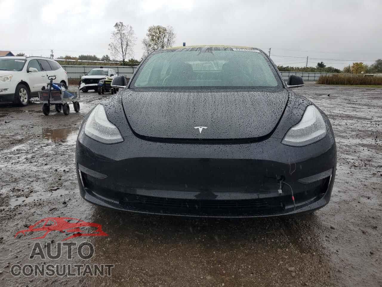 TESLA MODEL 3 2019 - 5YJ3E1EA2KF398502