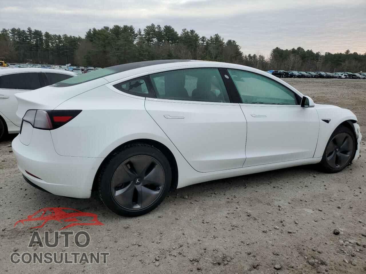 TESLA MODEL 3 2019 - 5YJ3E1EA4KF309951