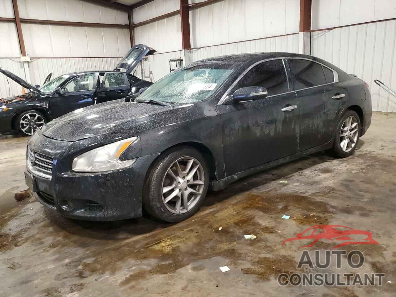 NISSAN MAXIMA 2011 - 1N4AA5AP5BC851339
