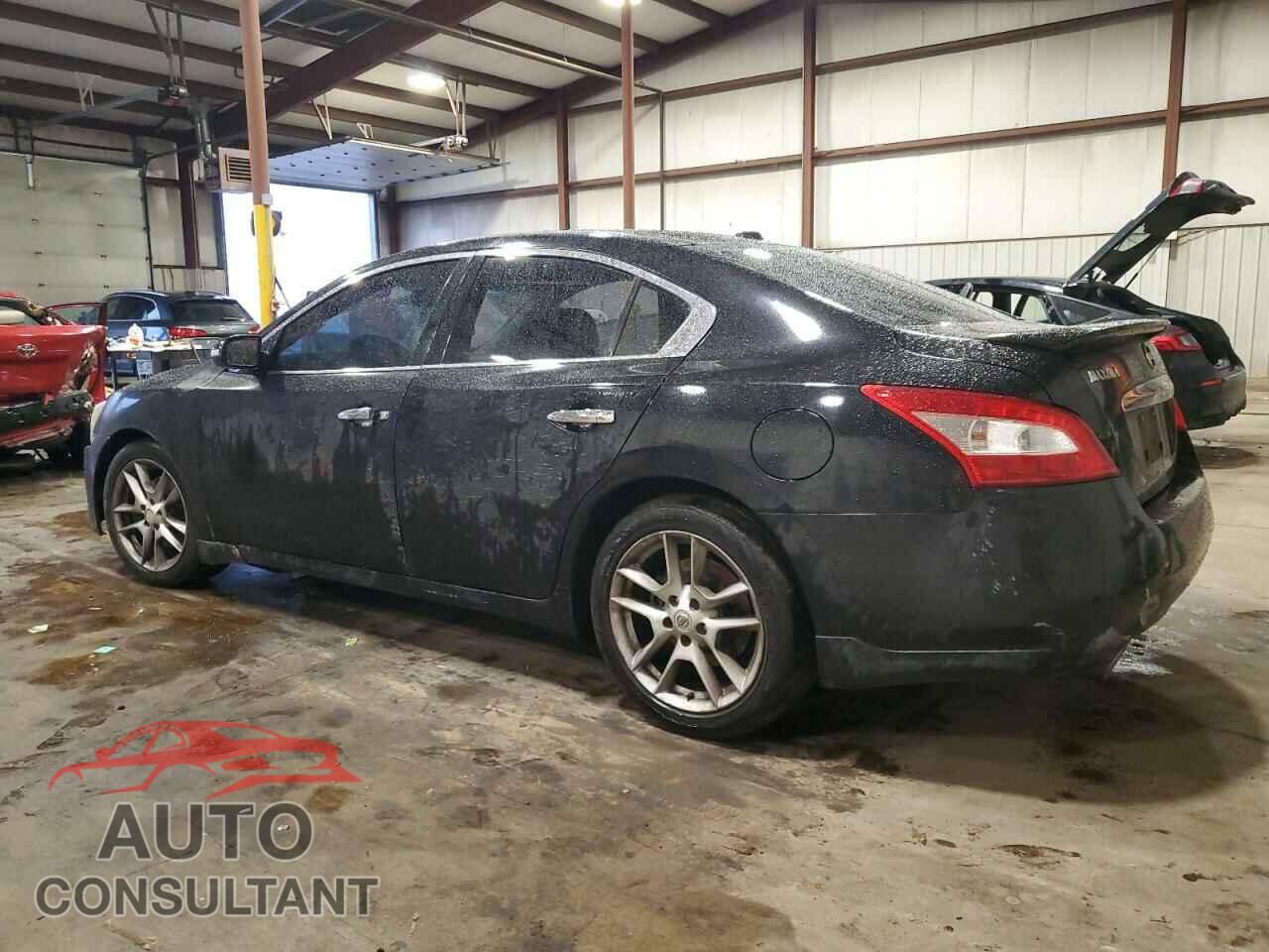 NISSAN MAXIMA 2011 - 1N4AA5AP5BC851339