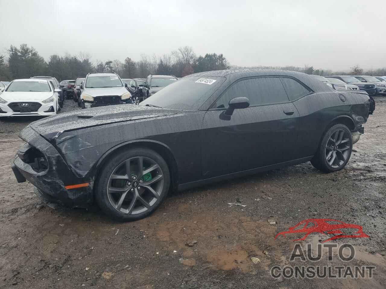 DODGE CHALLENGER 2019 - 2C3CDZAG3KH667844