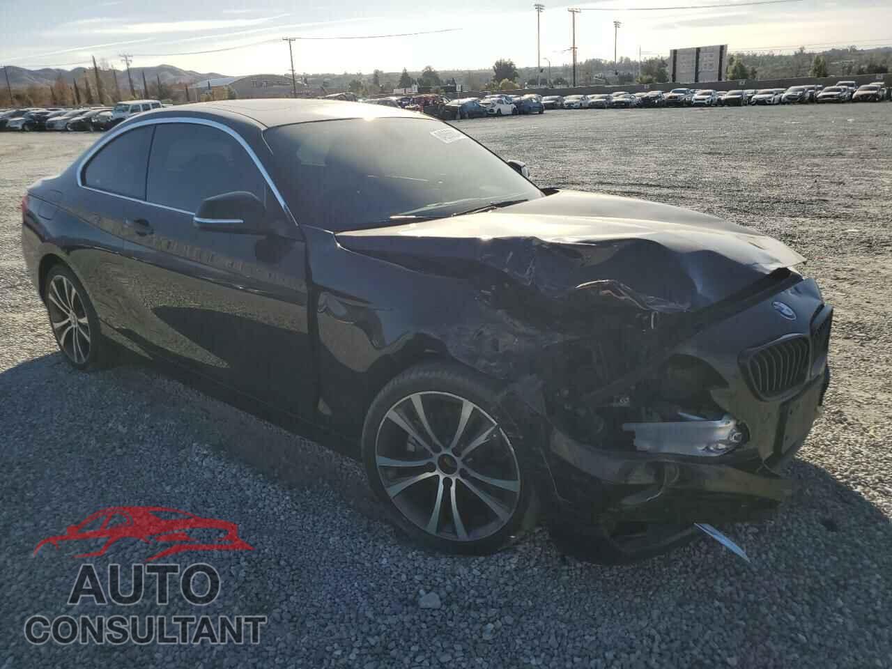 BMW 2 SERIES 2017 - WBA2F9C34H7A40232