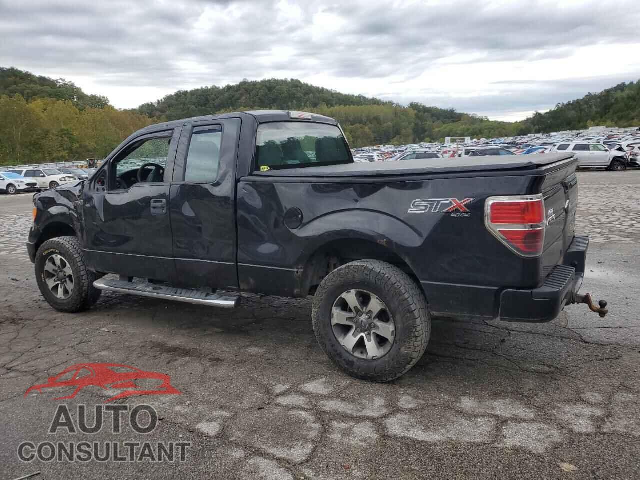 FORD F-150 2014 - 1FTFX1EF5EFC90202