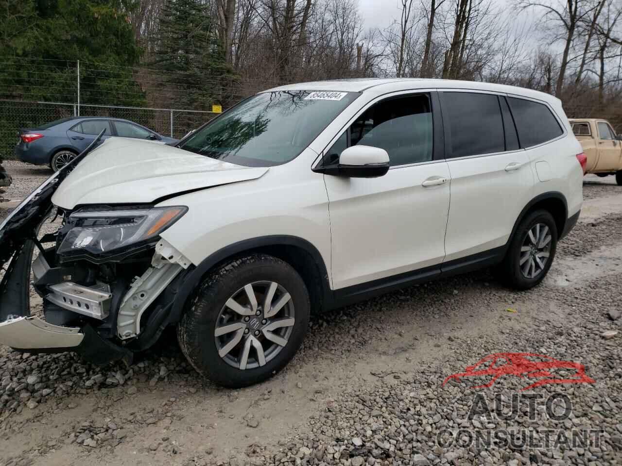 HONDA PILOT 2019 - 5FNYF6H57KB047292