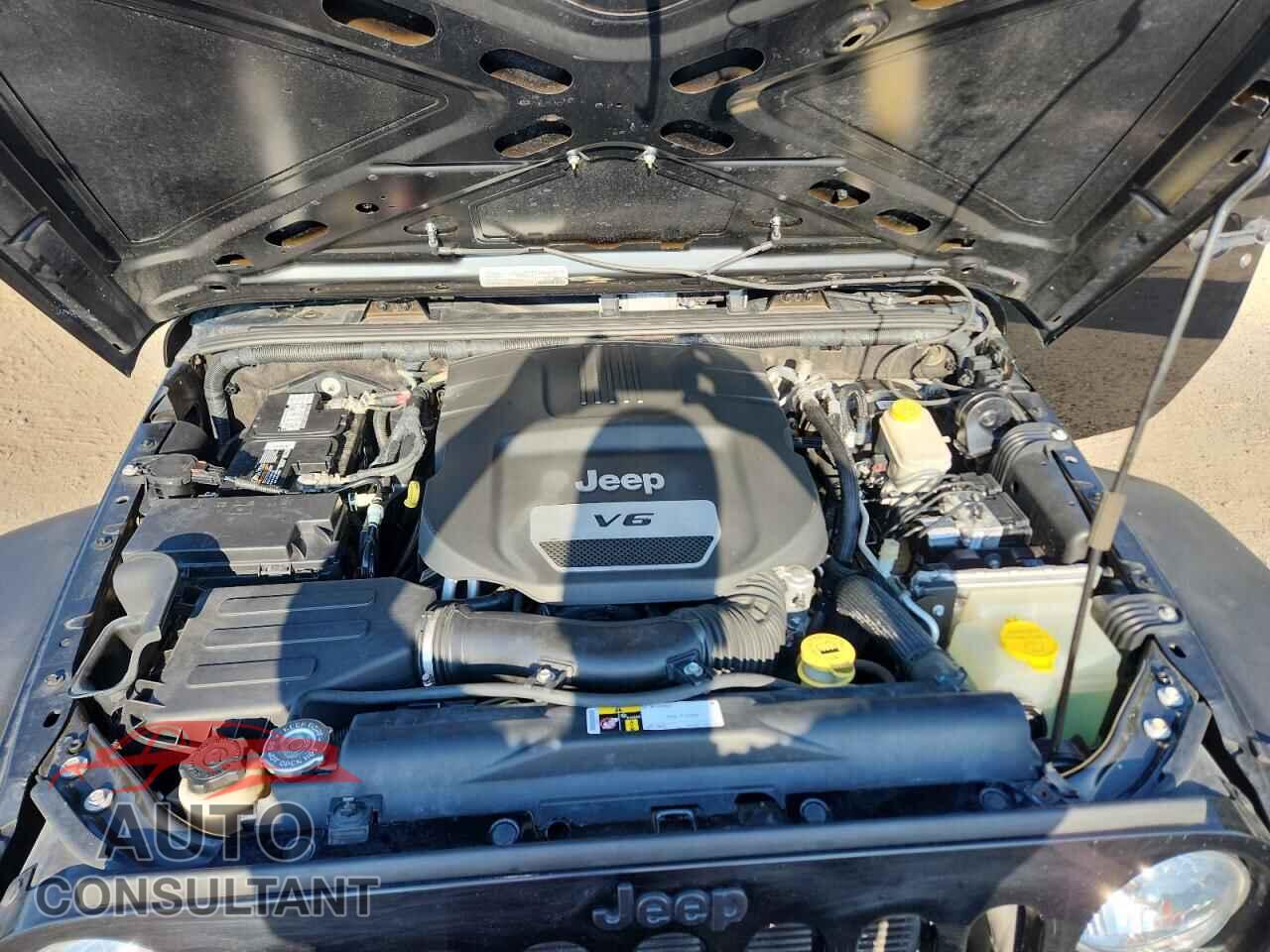 JEEP WRANGLER 2016 - 1C4AJWAG5GL172548