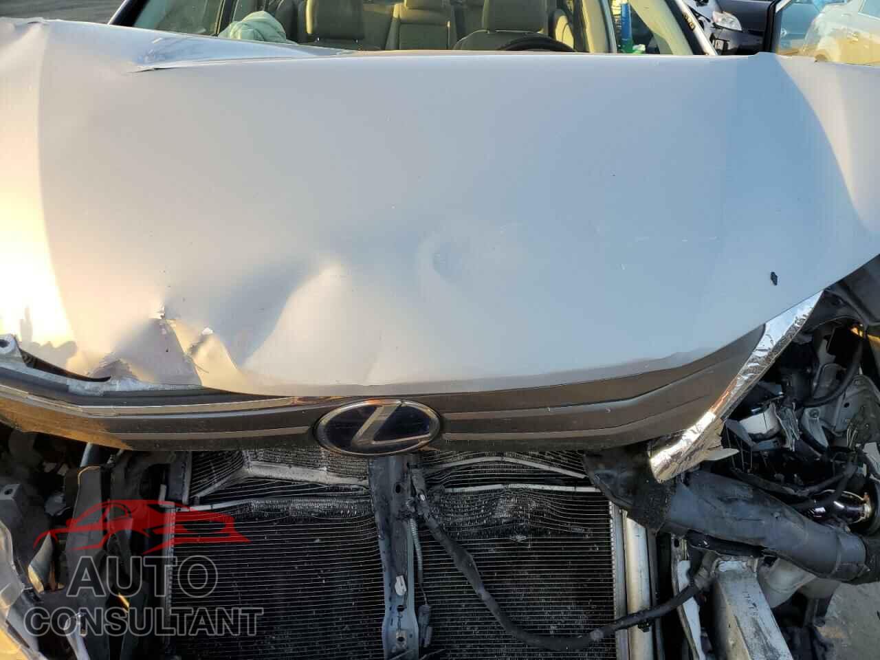 LEXUS HS 2010 - JTHBB1BA4A2009884
