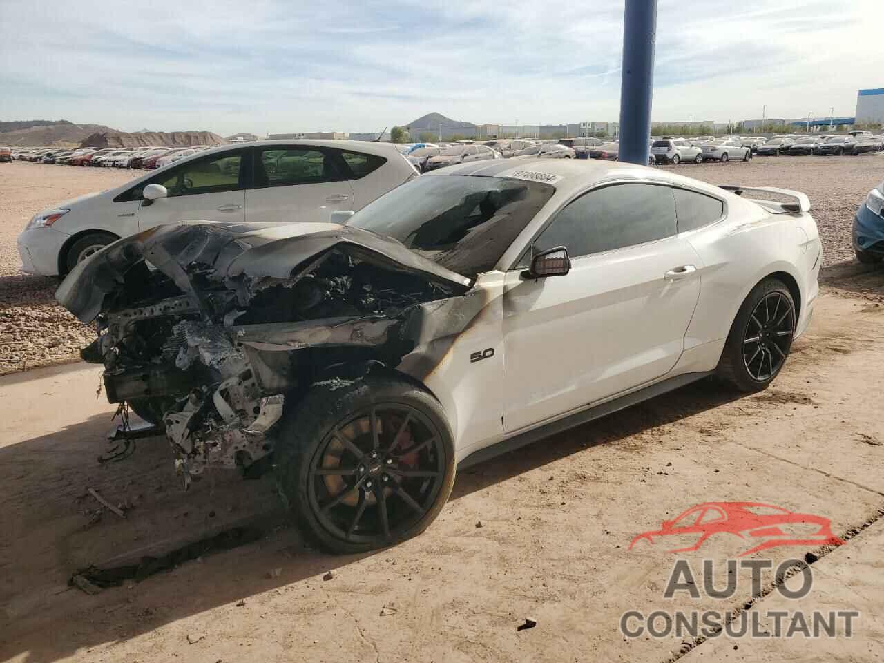 FORD MUSTANG 2019 - 1FA6P8CF8K5161325