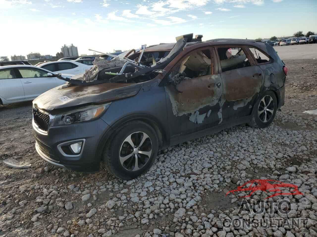KIA SPORTAGE 2019 - KNDPM3AC0K7529424