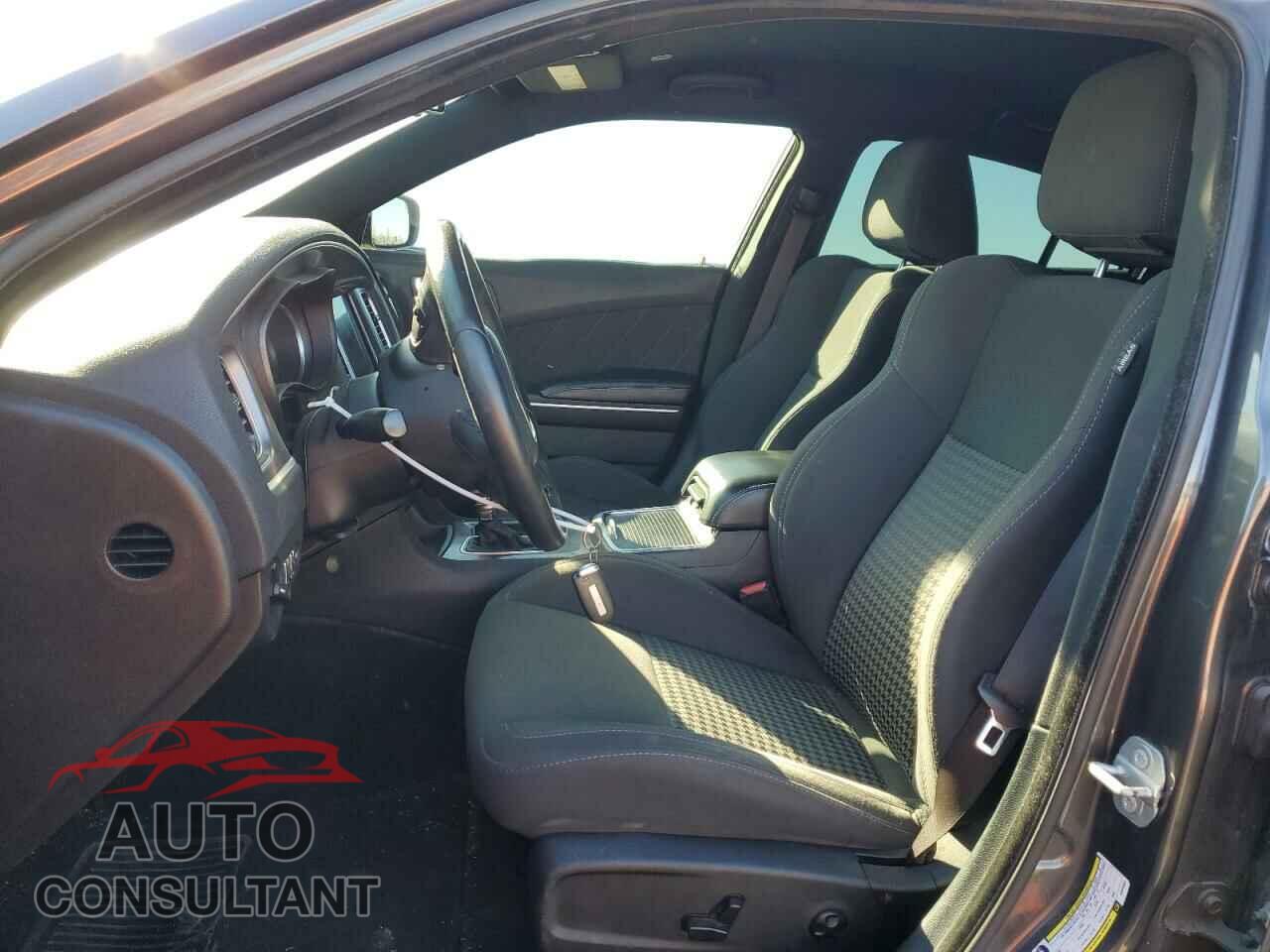 DODGE CHARGER 2019 - 2C3CDXCT5KH633354
