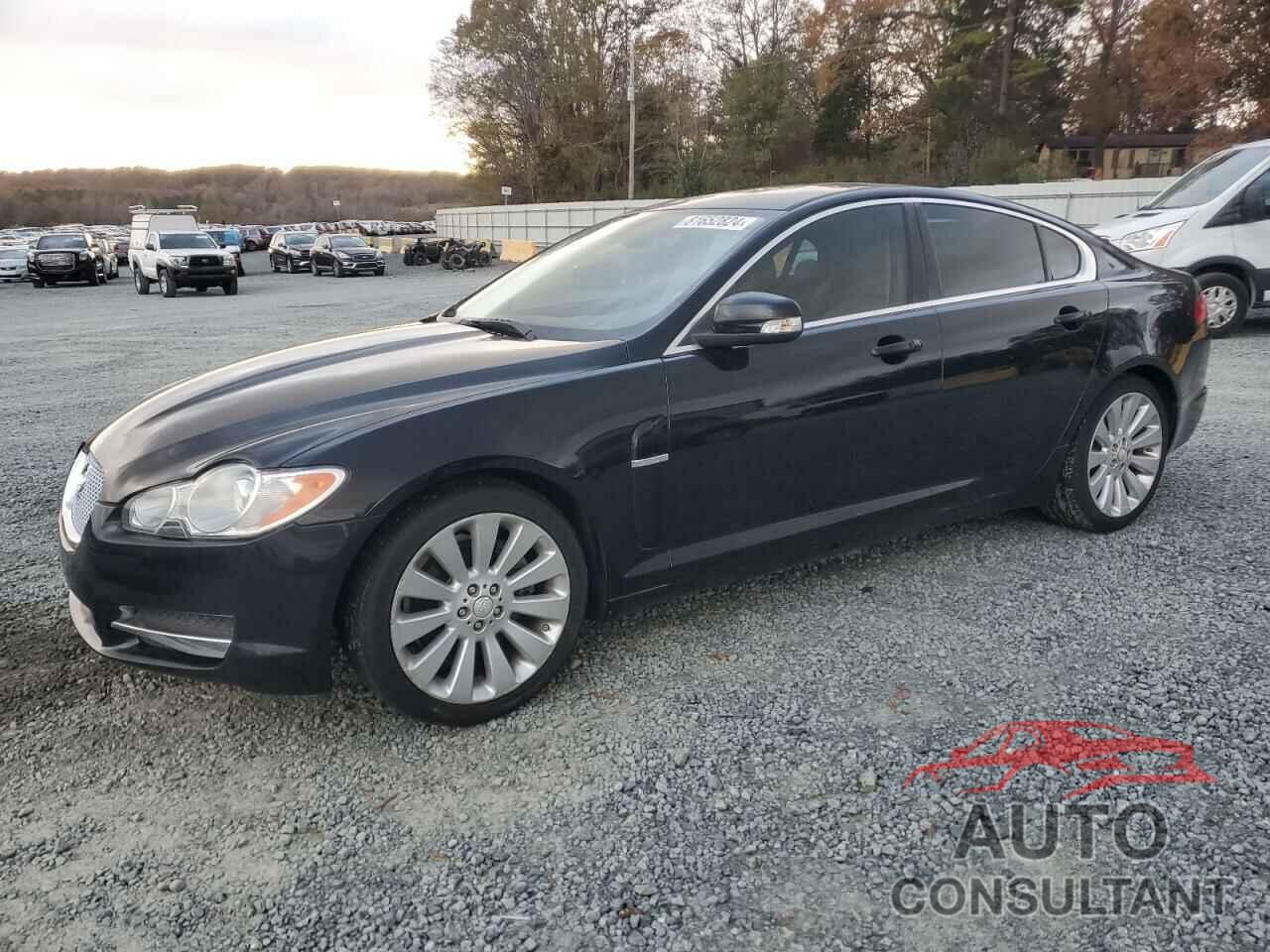 JAGUAR XF 2009 - SAJWA06B29HR08045