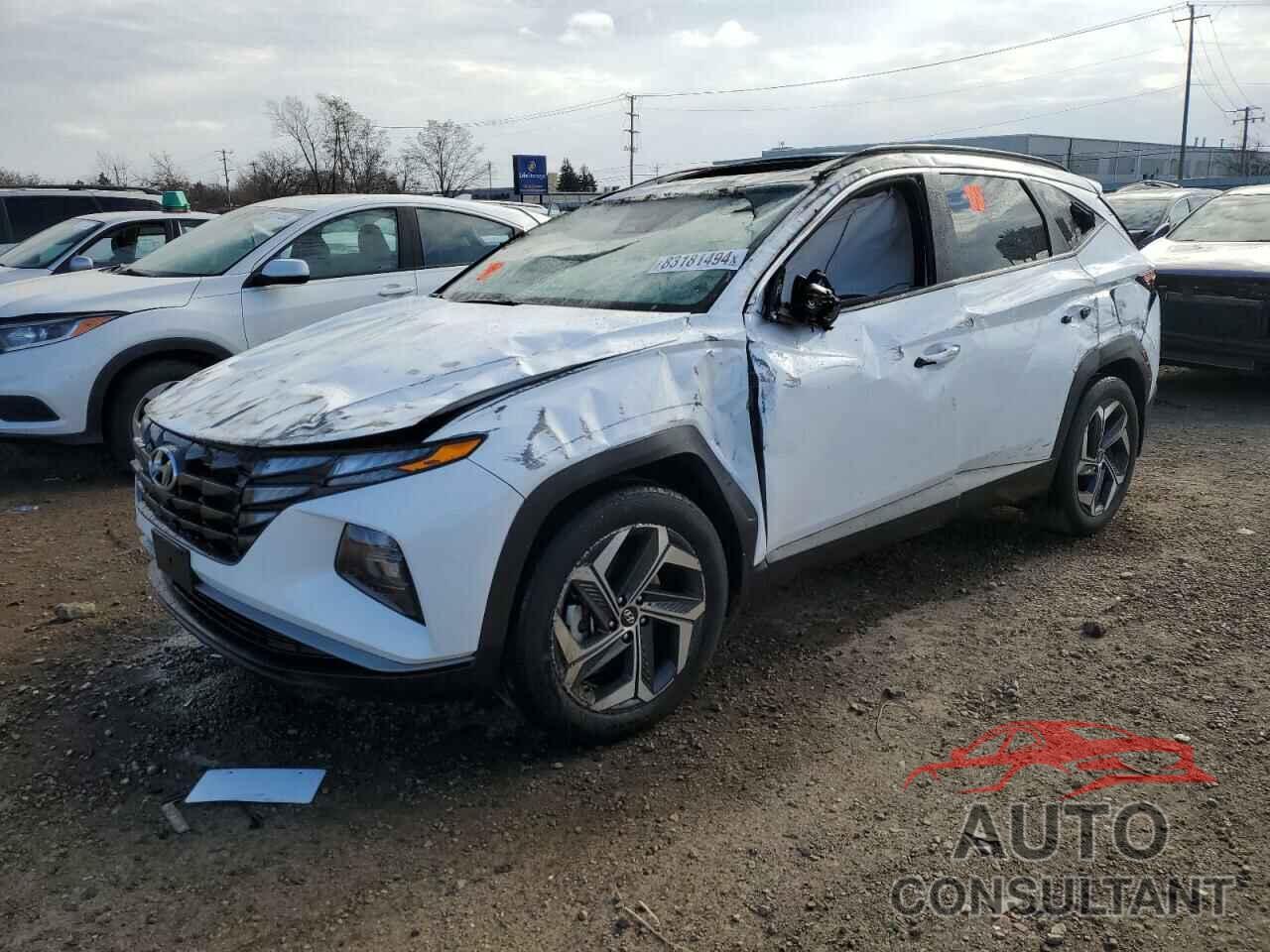 HYUNDAI TUCSON 2024 - 5NMJF3DE2RH372883