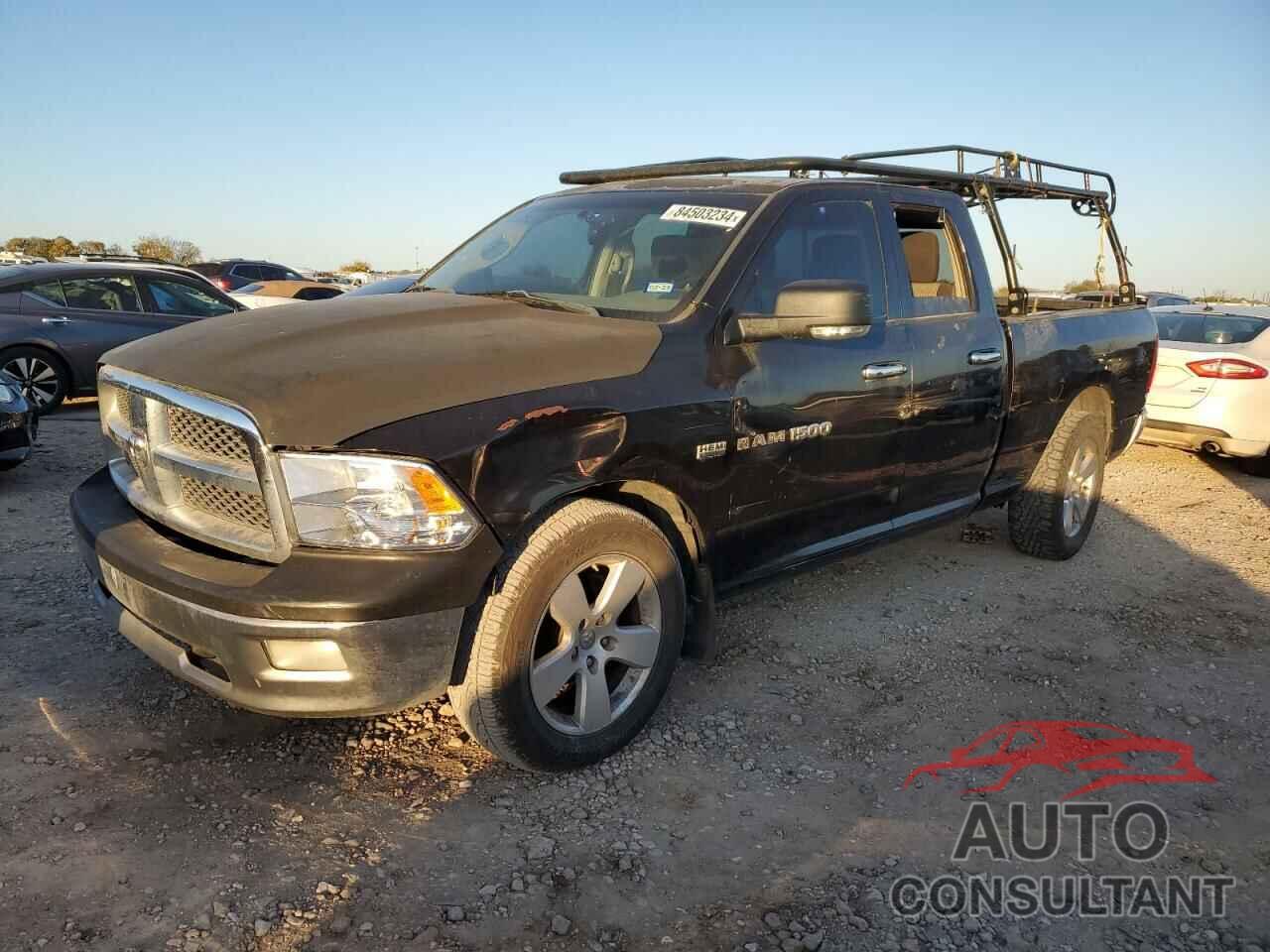 DODGE All Models 2011 - 1D7RV1GT7BS528260