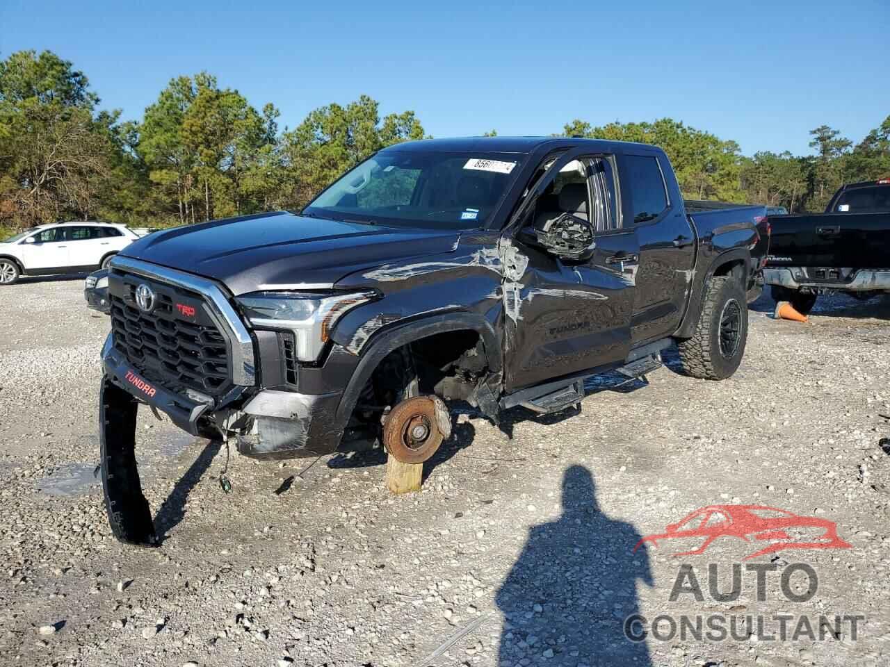 TOYOTA TUNDRA 2022 - 5TFLA5DB1NX007766