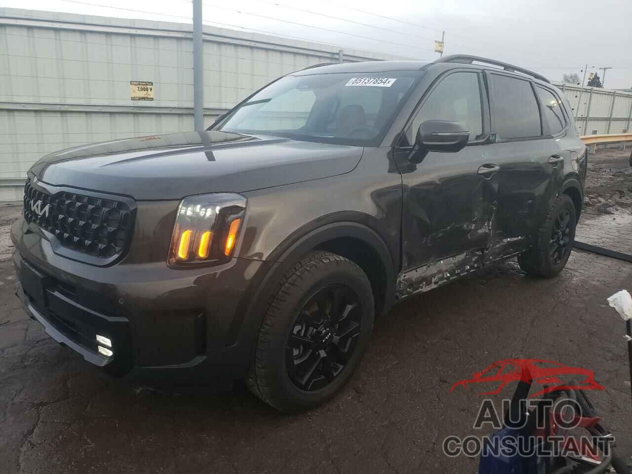 KIA TELLURIDE 2024 - 5XYP5DGCXRG483141