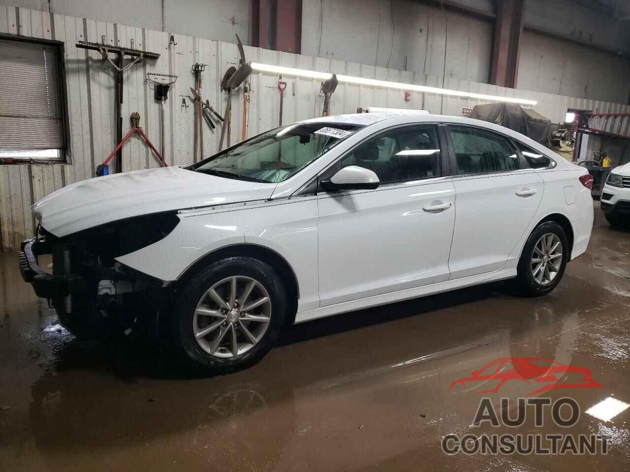 HYUNDAI SONATA 2019 - 5NPE24AF1KH756811