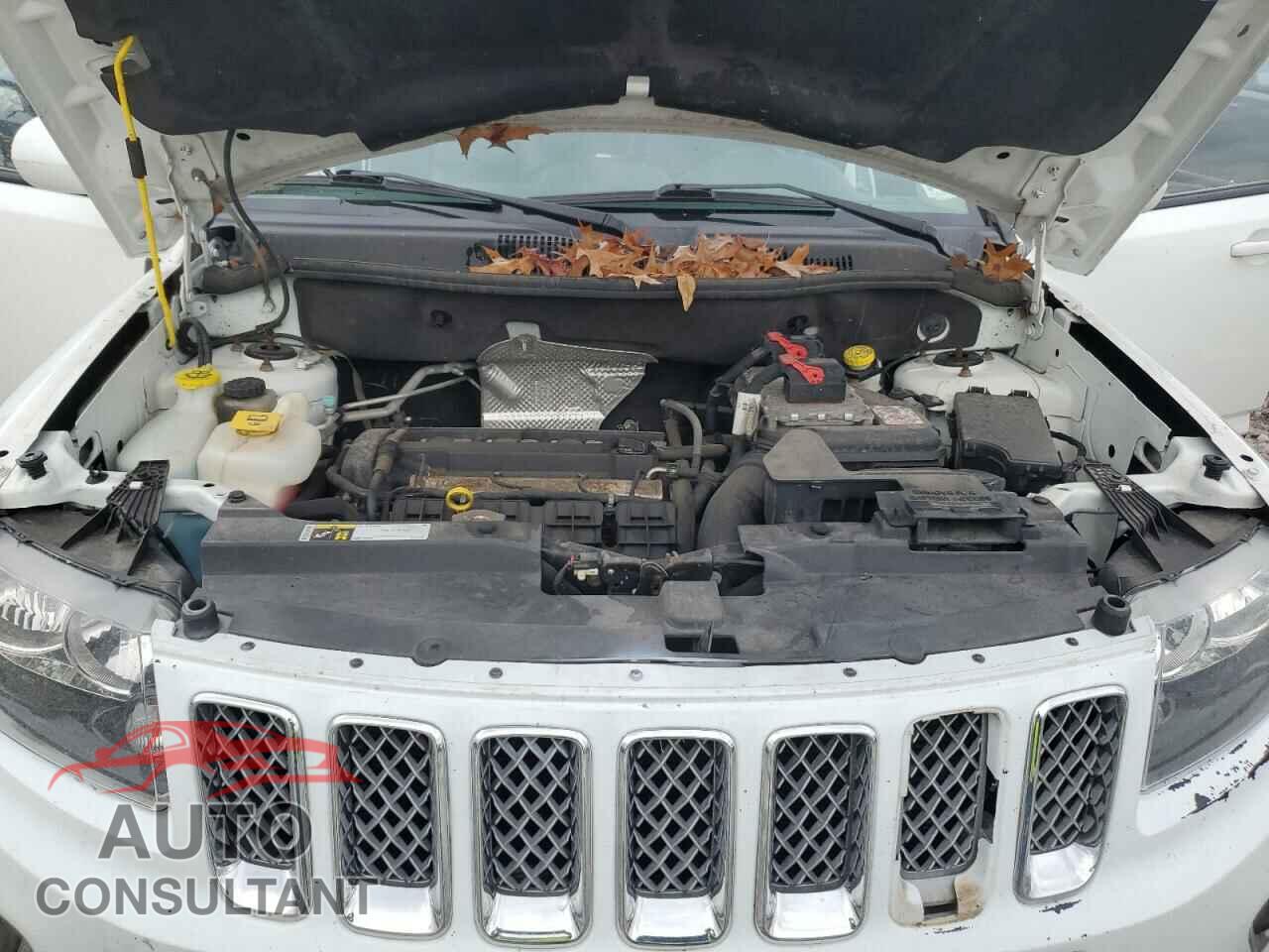 JEEP COMPASS 2016 - 1C4NJCEA1GD678989