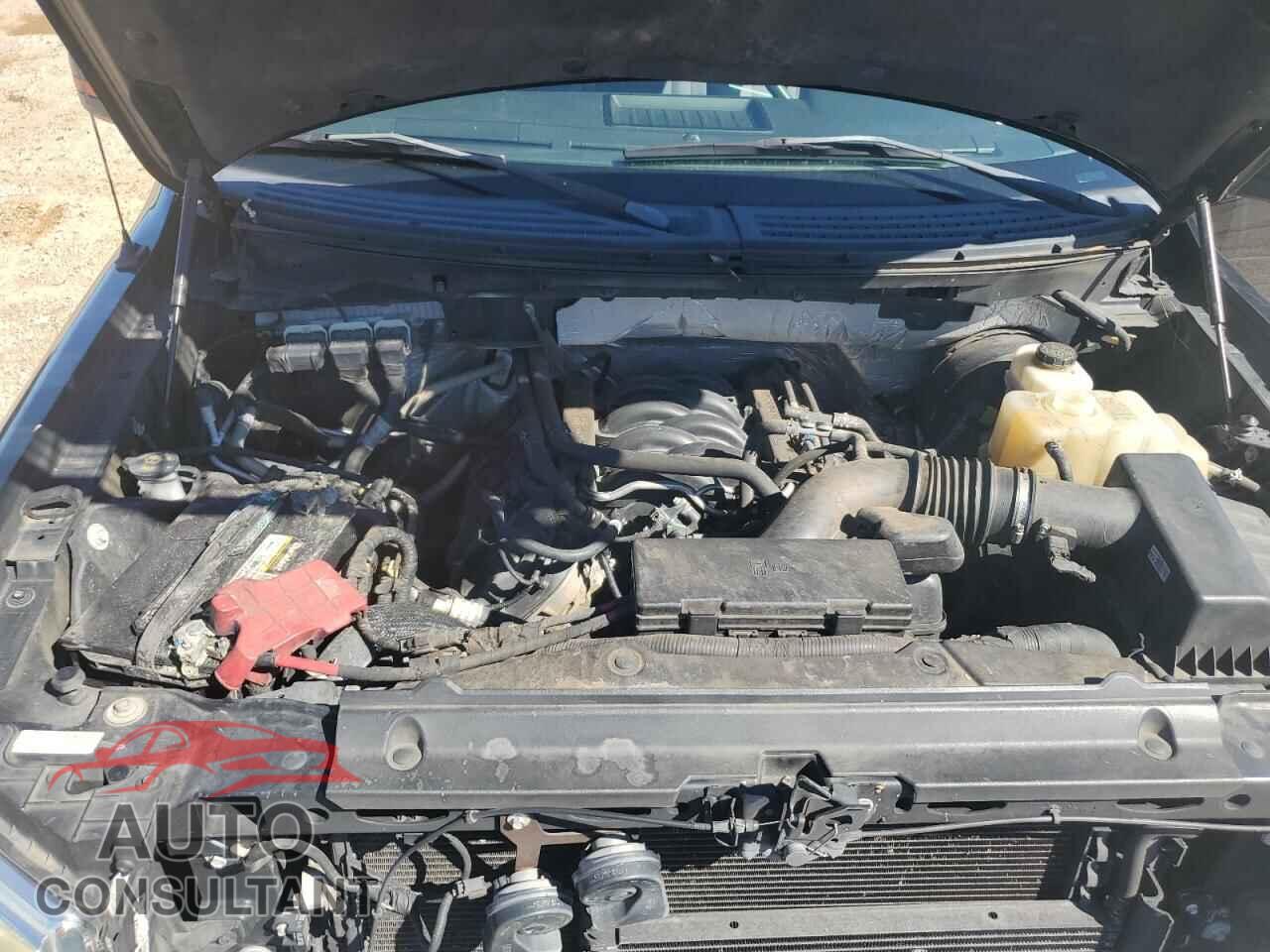 FORD F-150 2013 - 1FTFX1CF5DFB96130