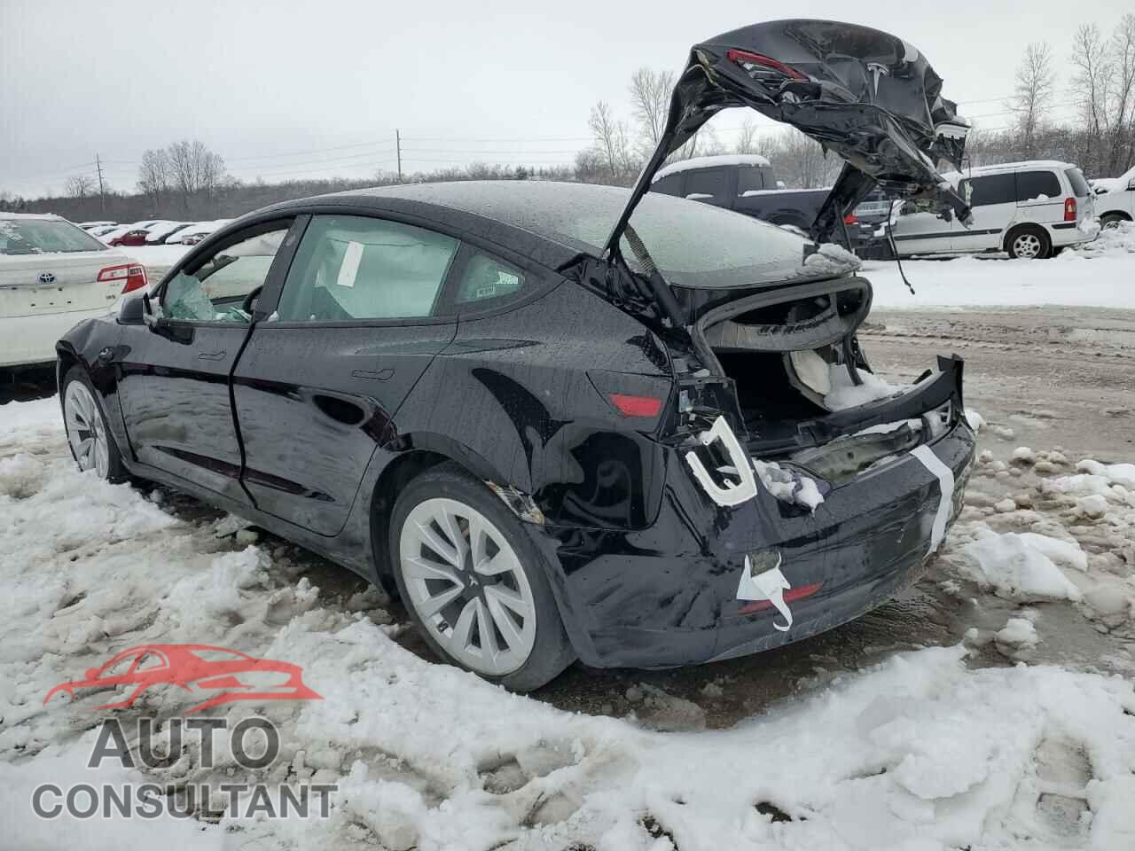 TESLA MODEL 3 2023 - 5YJ3E1EA3PF382817