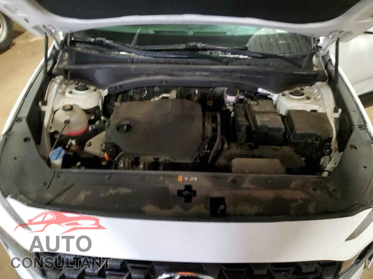 HYUNDAI SANTA FE 2023 - 5NMS14AJ8PH631237