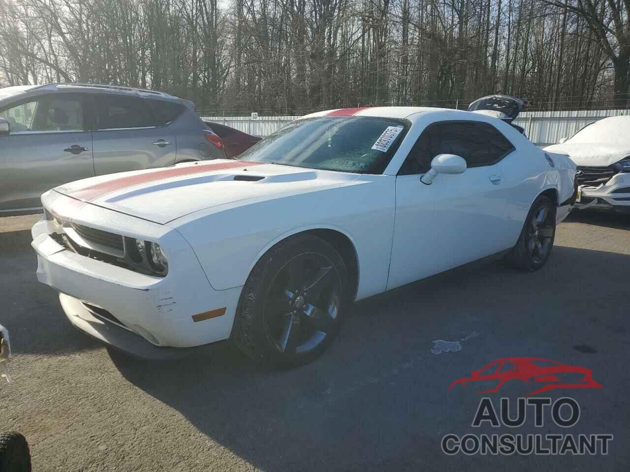 DODGE CHALLENGER 2013 - 2C3CDYAG6DH501606