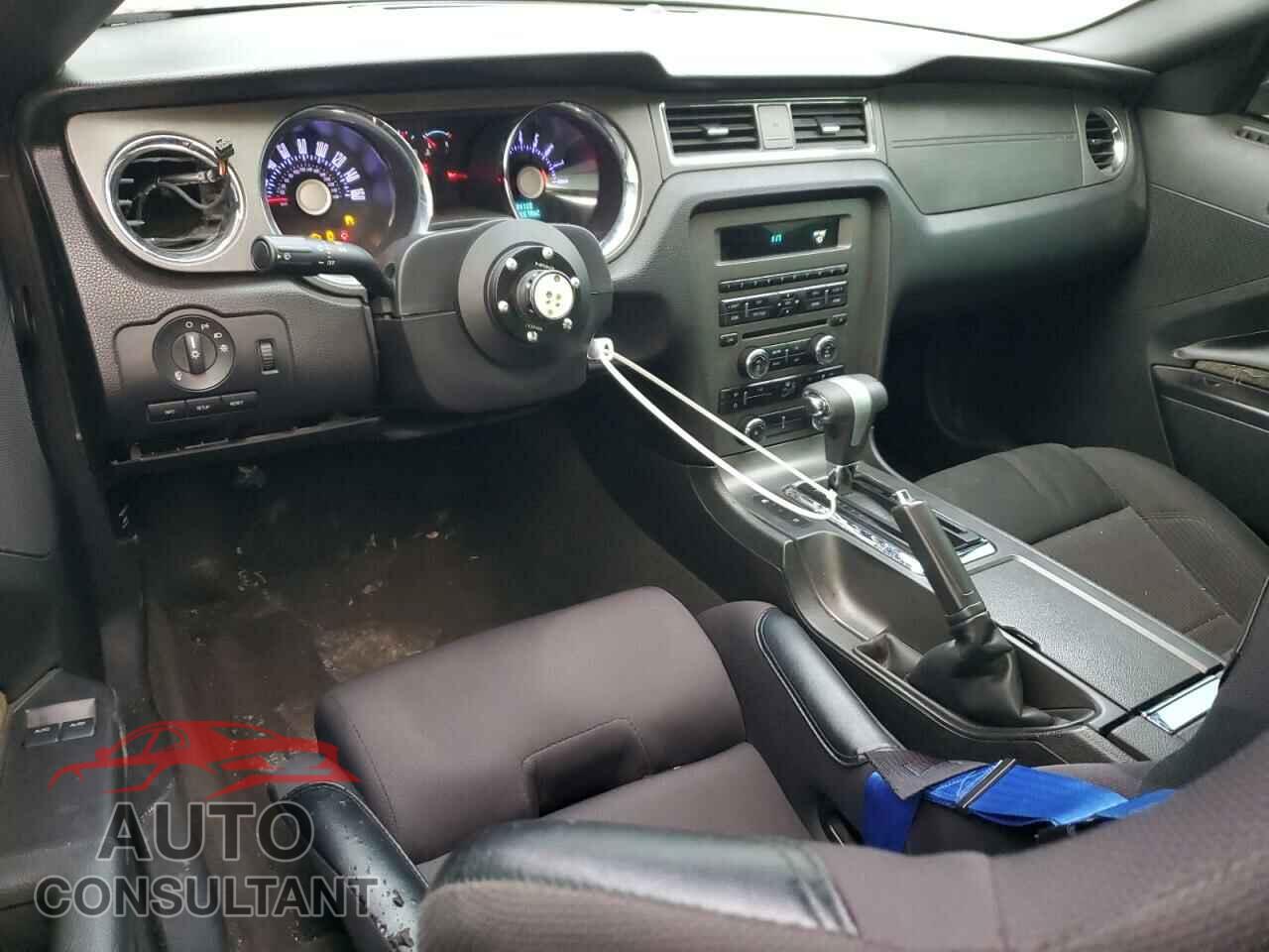FORD MUSTANG 2011 - 1ZVBP8CF7B5153576