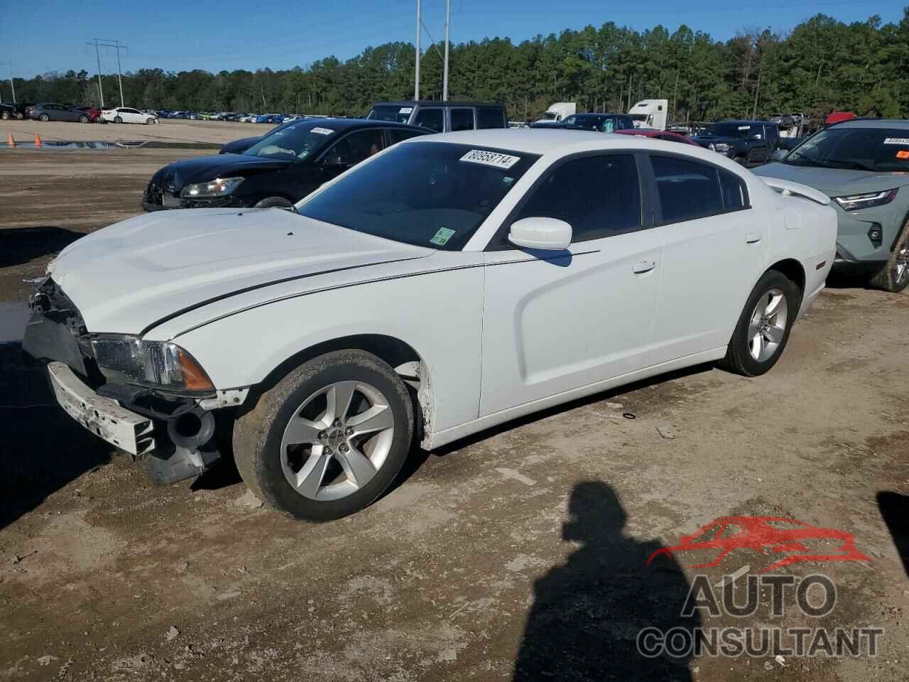 DODGE CHARGER 2014 - 2C3CDXBG6EH295844