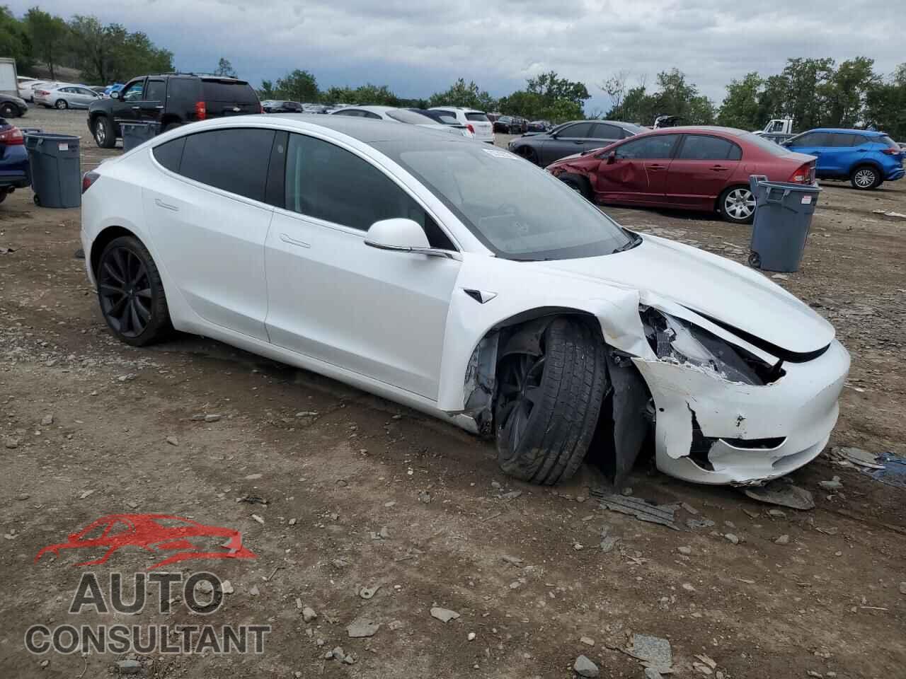 TESLA MODEL 3 2020 - 5YJ3E1EC9LF796342
