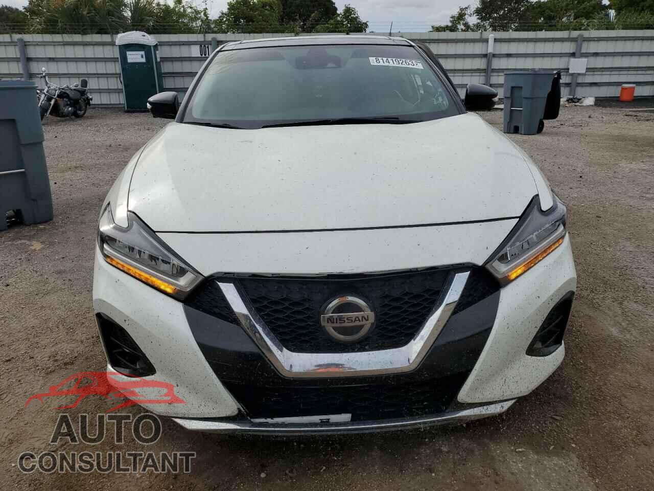 NISSAN MAXIMA 2019 - 1N4AA6AV2KC375085