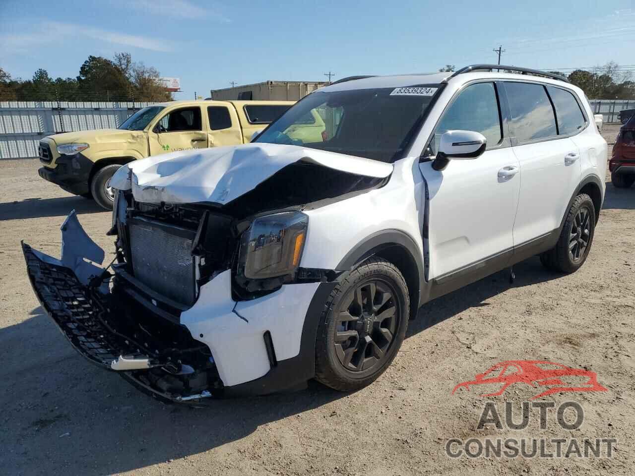 KIA TELLURIDE 2024 - 5XYP5DGC7RG465289