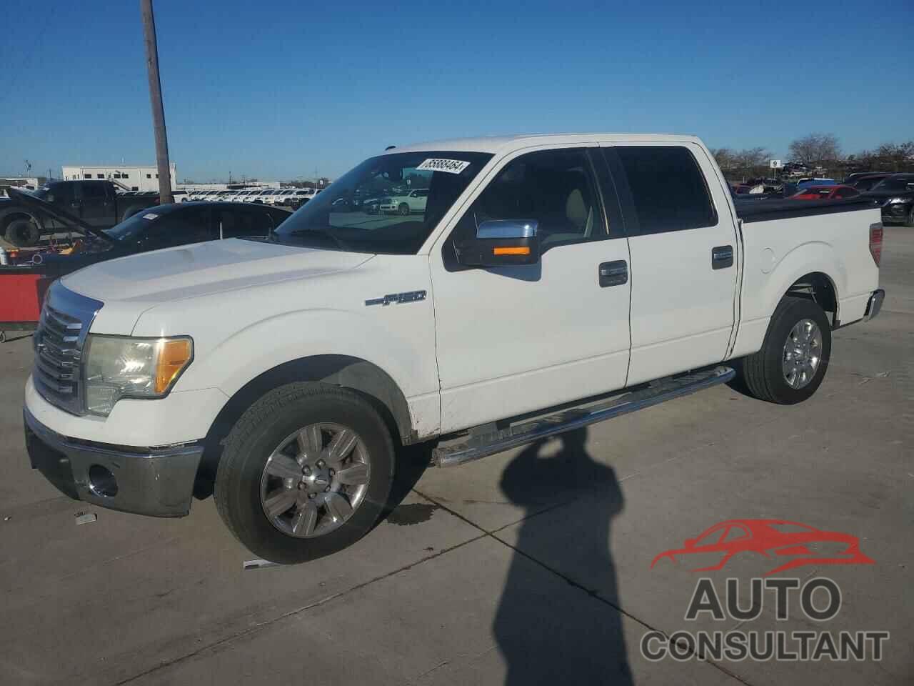 FORD F-150 2010 - 1FTEW1C87AFD03416