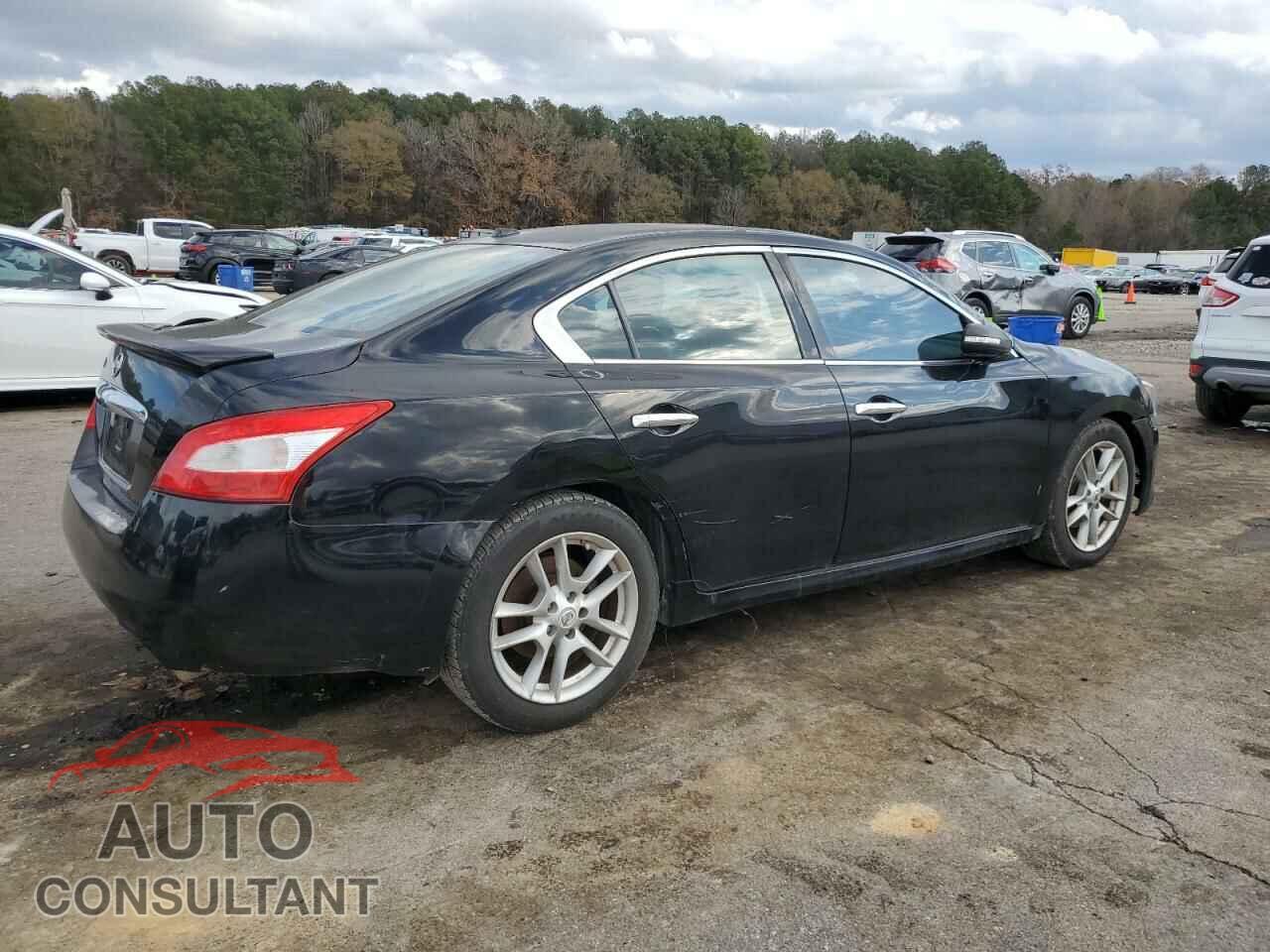 NISSAN MAXIMA 2009 - 1N4AA51E89C829196