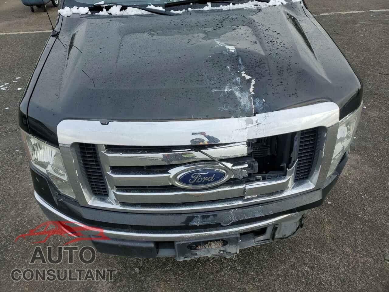 FORD F-150 2012 - 1FTFX1EF6CFA45745