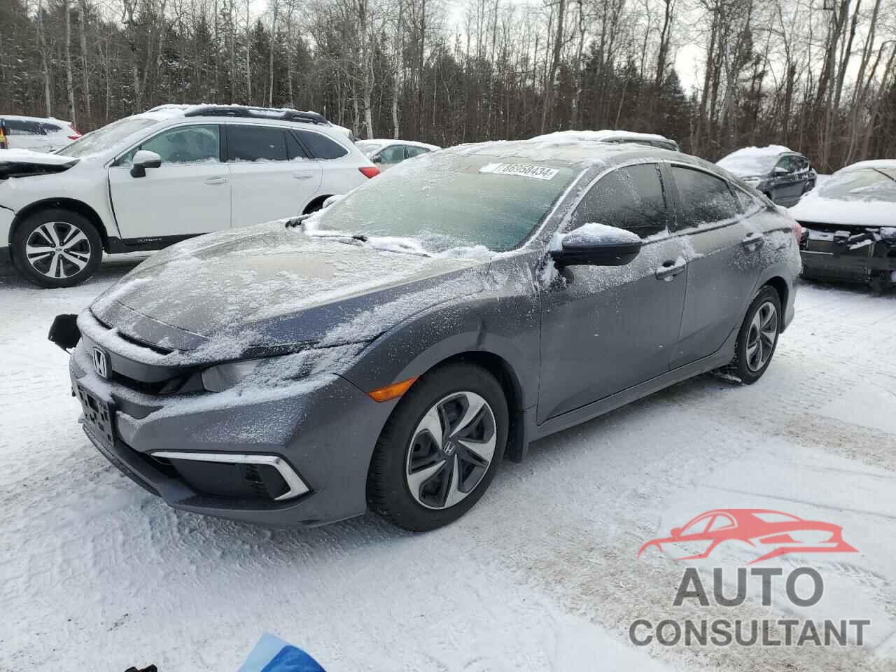 HONDA CIVIC 2019 - 2HGFC2F59KH036303